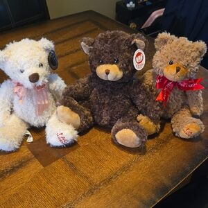 Teddy Bear Bundle